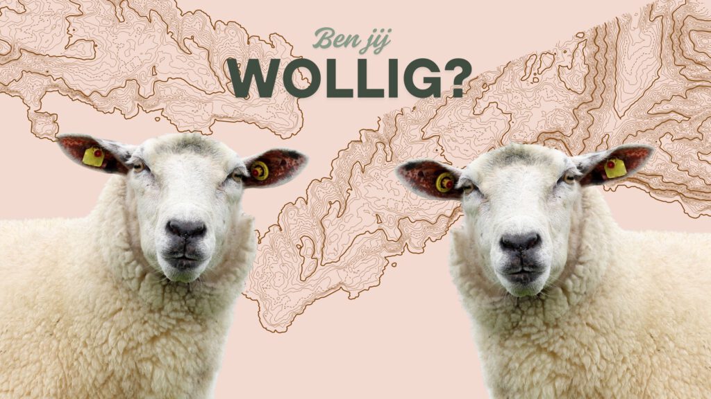 wollige teksten