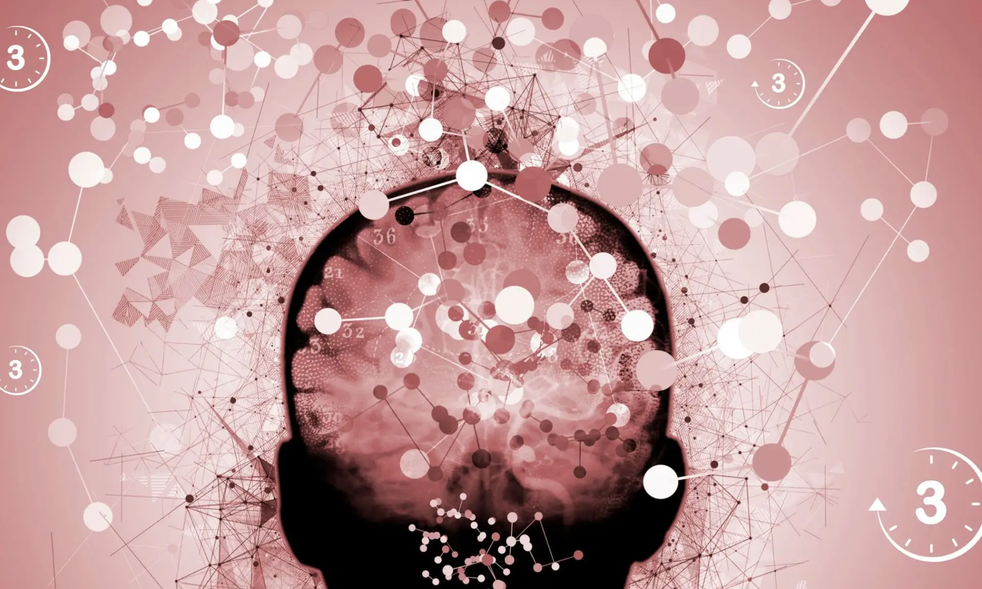 neuromarketing tekstchrijven