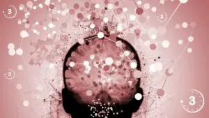 neuromarketing tekstchrijven